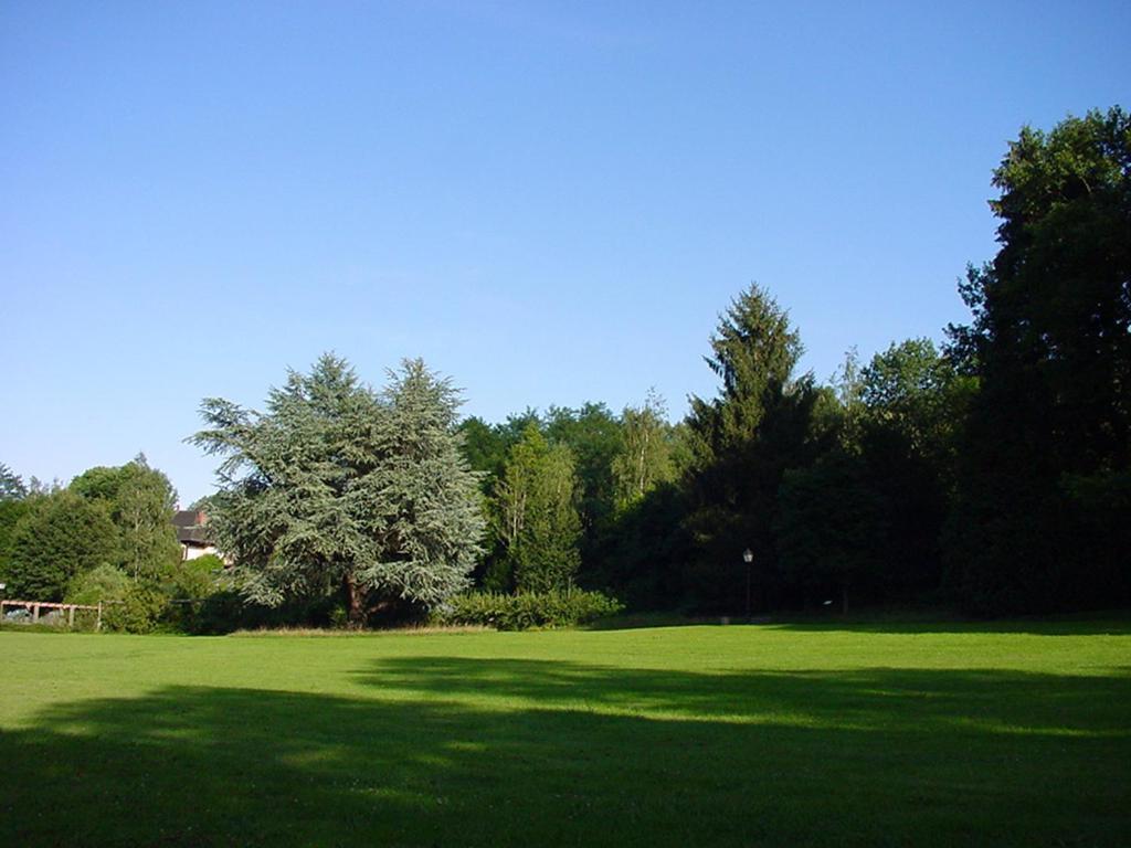 Sainte-Croix-aux-Mines Chambres D'Hotes " Le Magnolia " (Adults Only) المظهر الخارجي الصورة