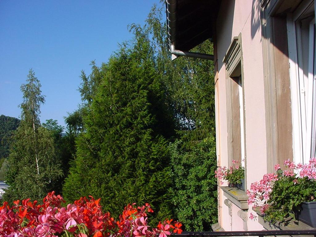 Sainte-Croix-aux-Mines Chambres D'Hotes " Le Magnolia " (Adults Only) المظهر الخارجي الصورة