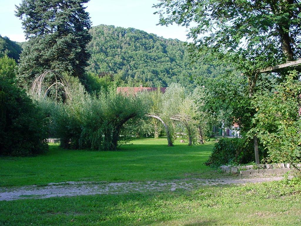 Sainte-Croix-aux-Mines Chambres D'Hotes " Le Magnolia " (Adults Only) المظهر الخارجي الصورة