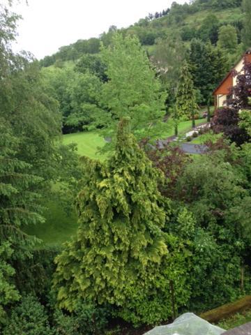 Sainte-Croix-aux-Mines Chambres D'Hotes " Le Magnolia " (Adults Only) المظهر الخارجي الصورة