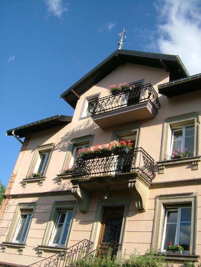 Sainte-Croix-aux-Mines Chambres D'Hotes " Le Magnolia " (Adults Only) المظهر الخارجي الصورة