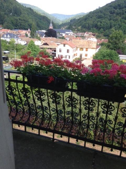 Sainte-Croix-aux-Mines Chambres D'Hotes " Le Magnolia " (Adults Only) المظهر الخارجي الصورة